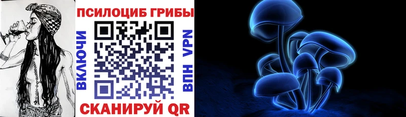 Псилоцибиновые грибы Cubensis  хочу наркоту  Краснообск 